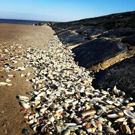 L'hippodrome Feriehus